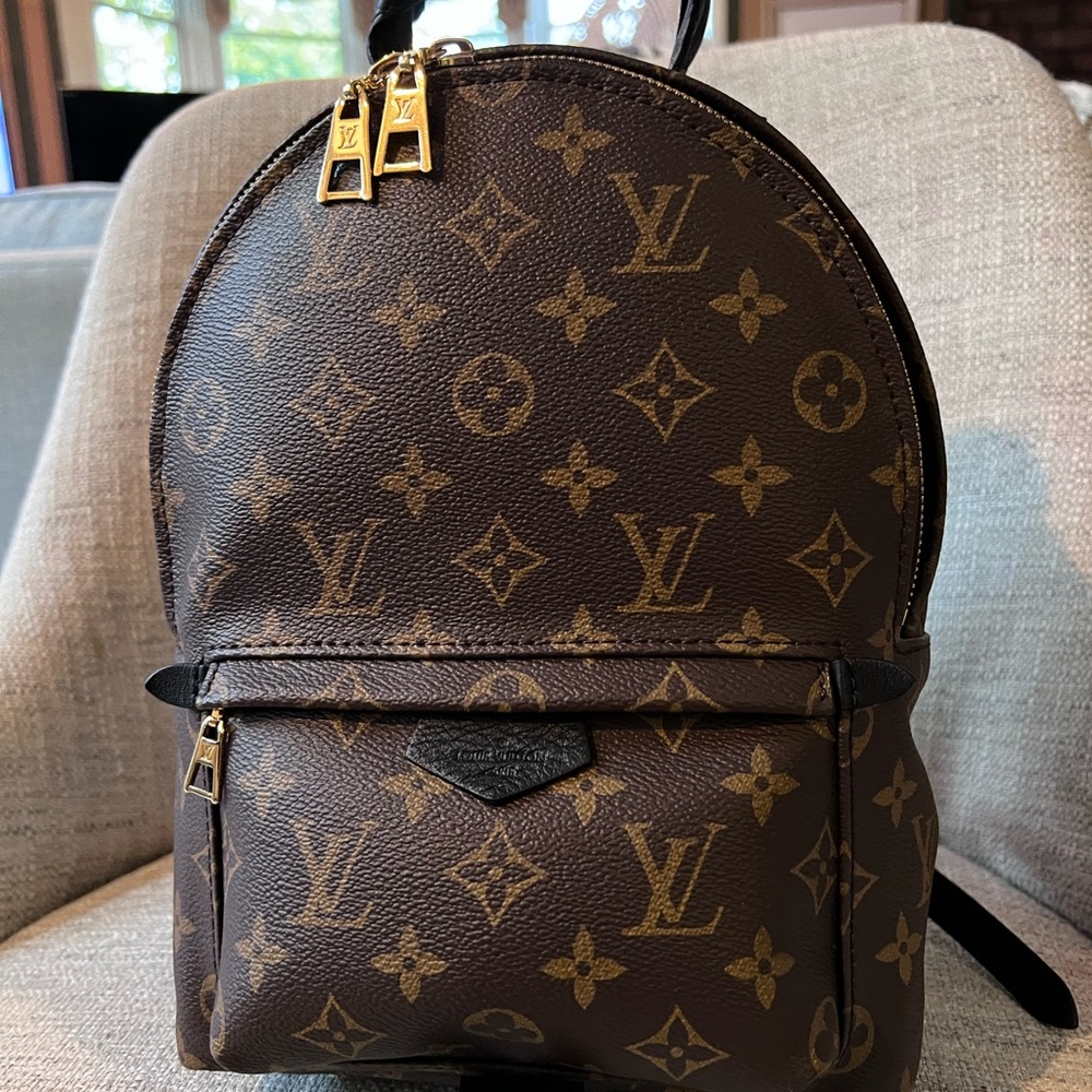 Louis Vuitton Palm Springs PM (Monogram)